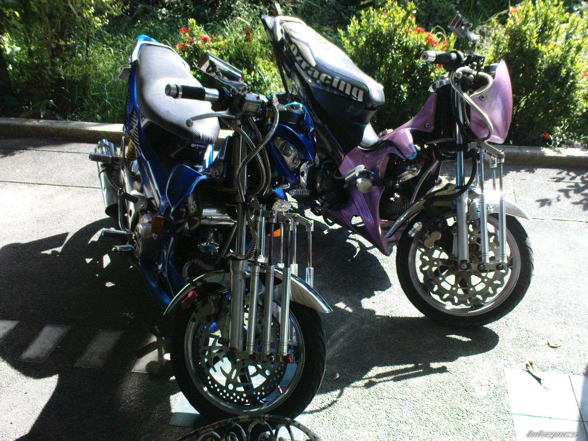 Photo 2158974