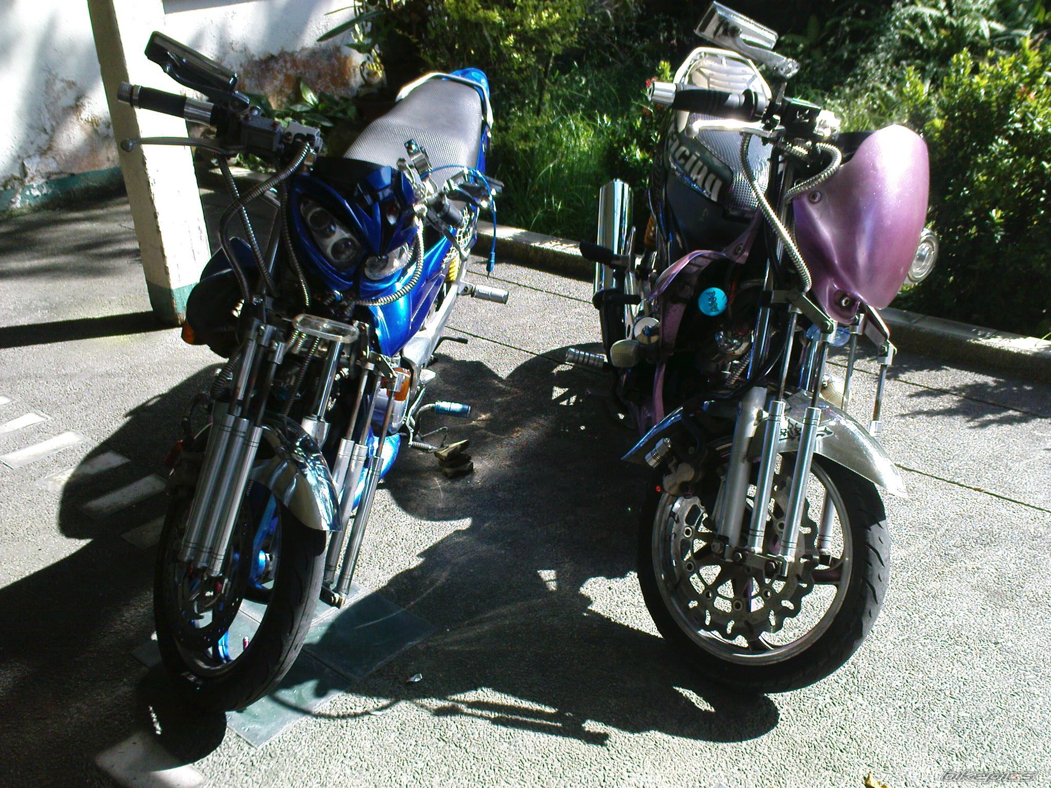 Photo 2158979