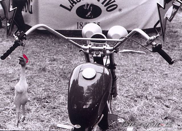 Photo 215919