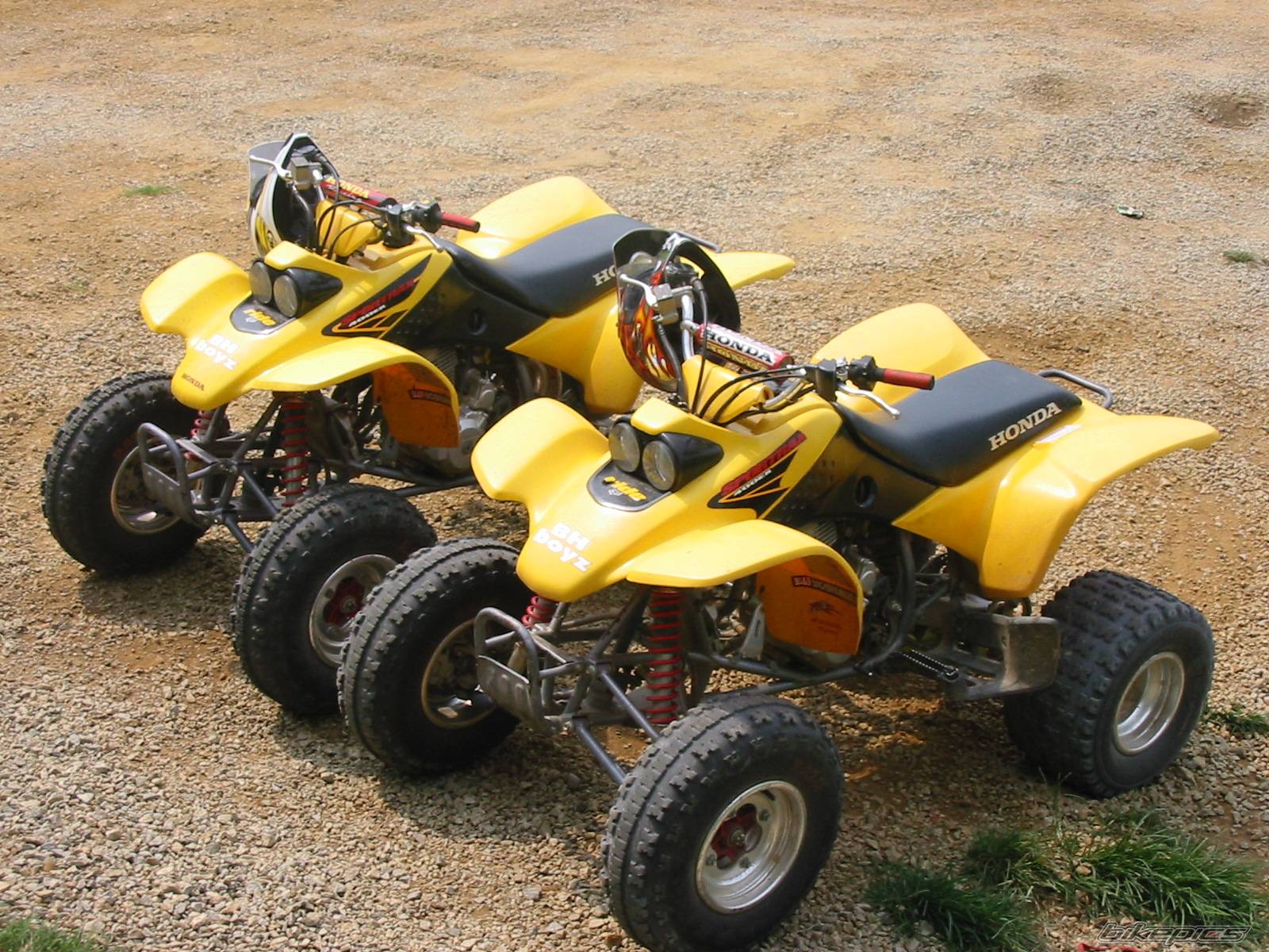 Photo 215933
