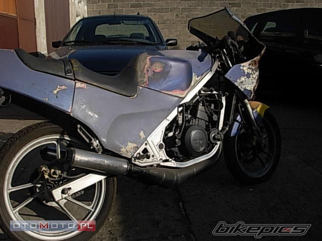 Bike Photo 2159545