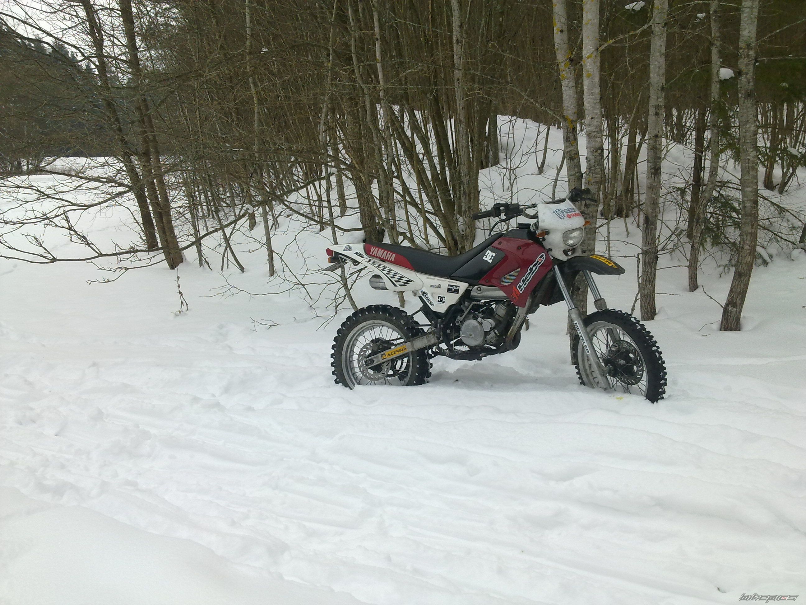 Photo 2159610