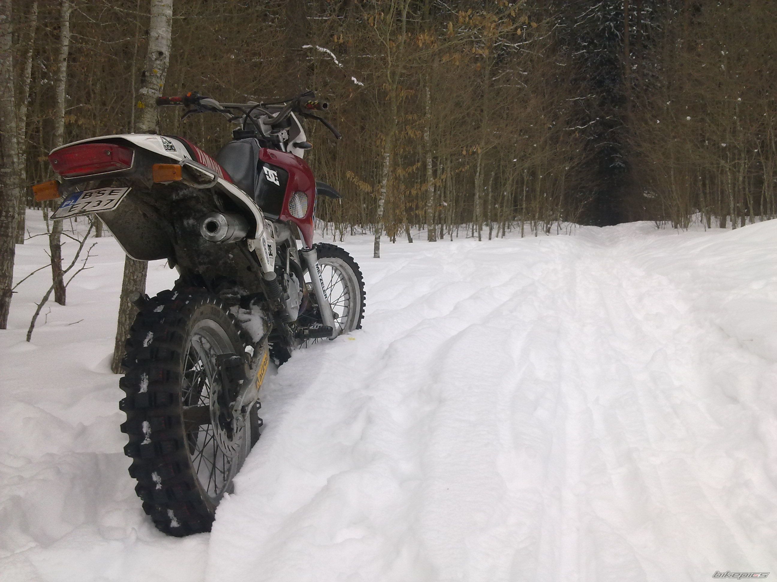 Photo 2159614