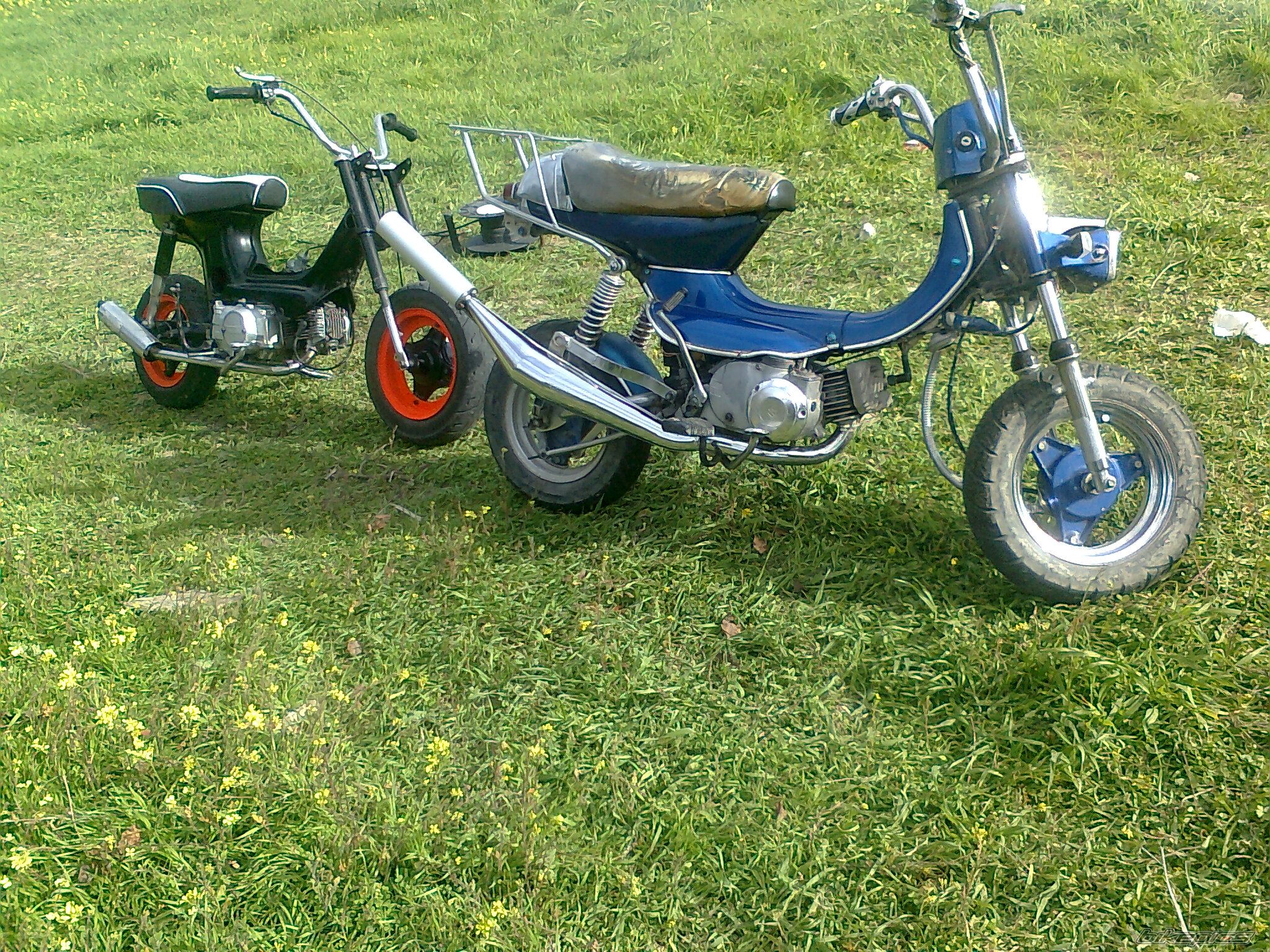 Photo 2159896