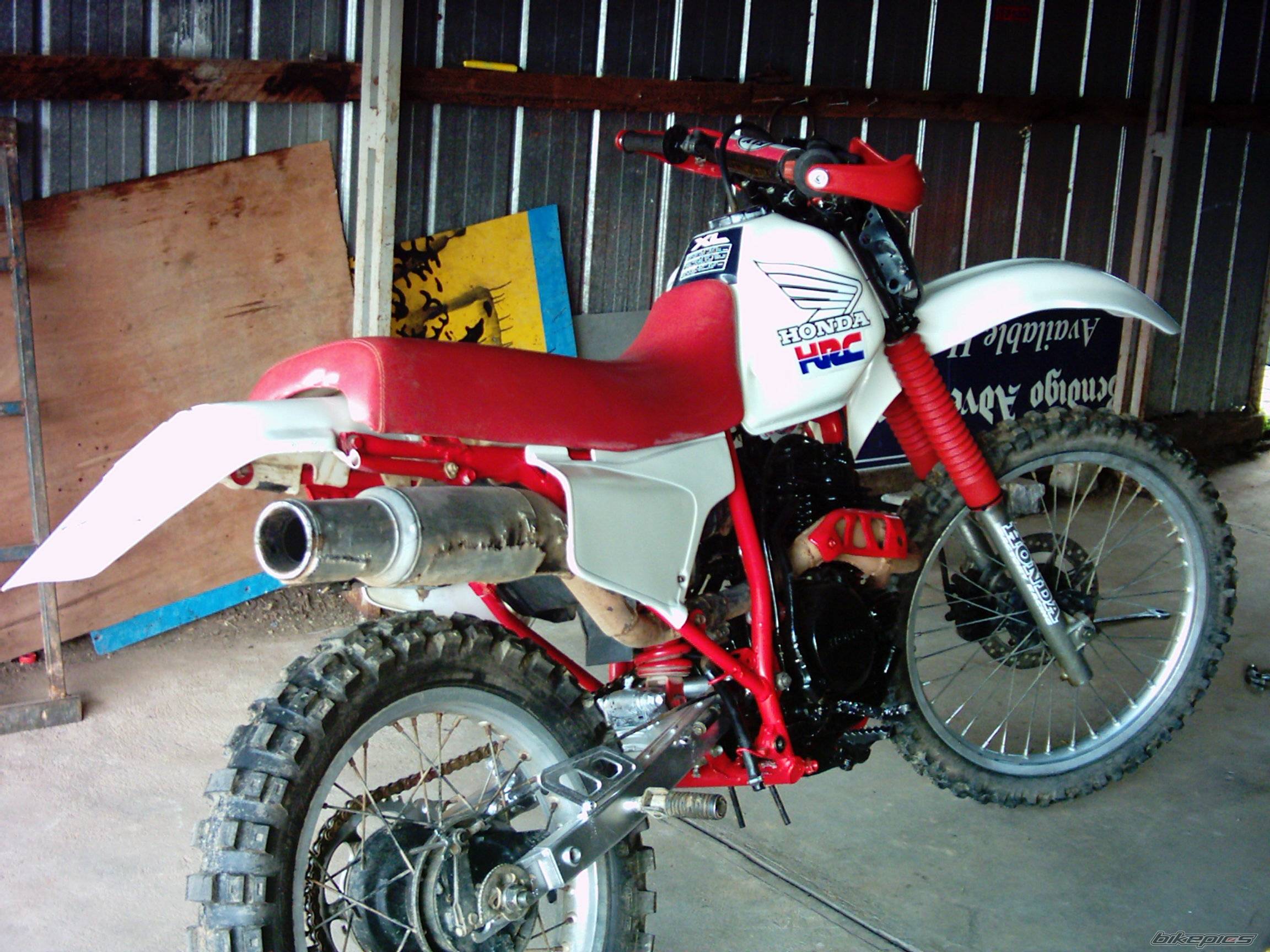 Photo 216010