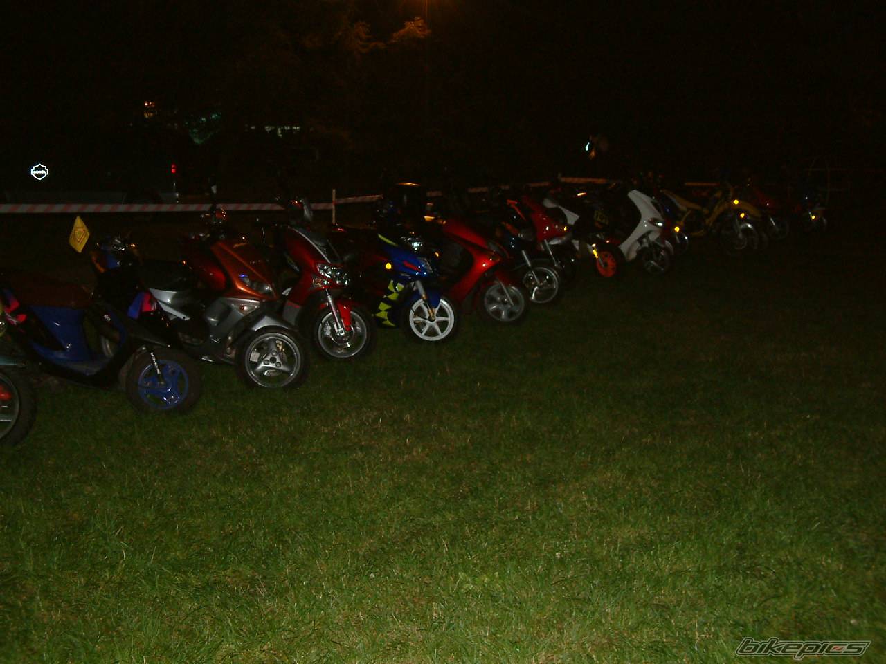 Photo 216014