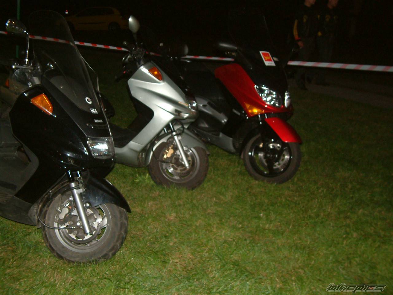 Photo 216016