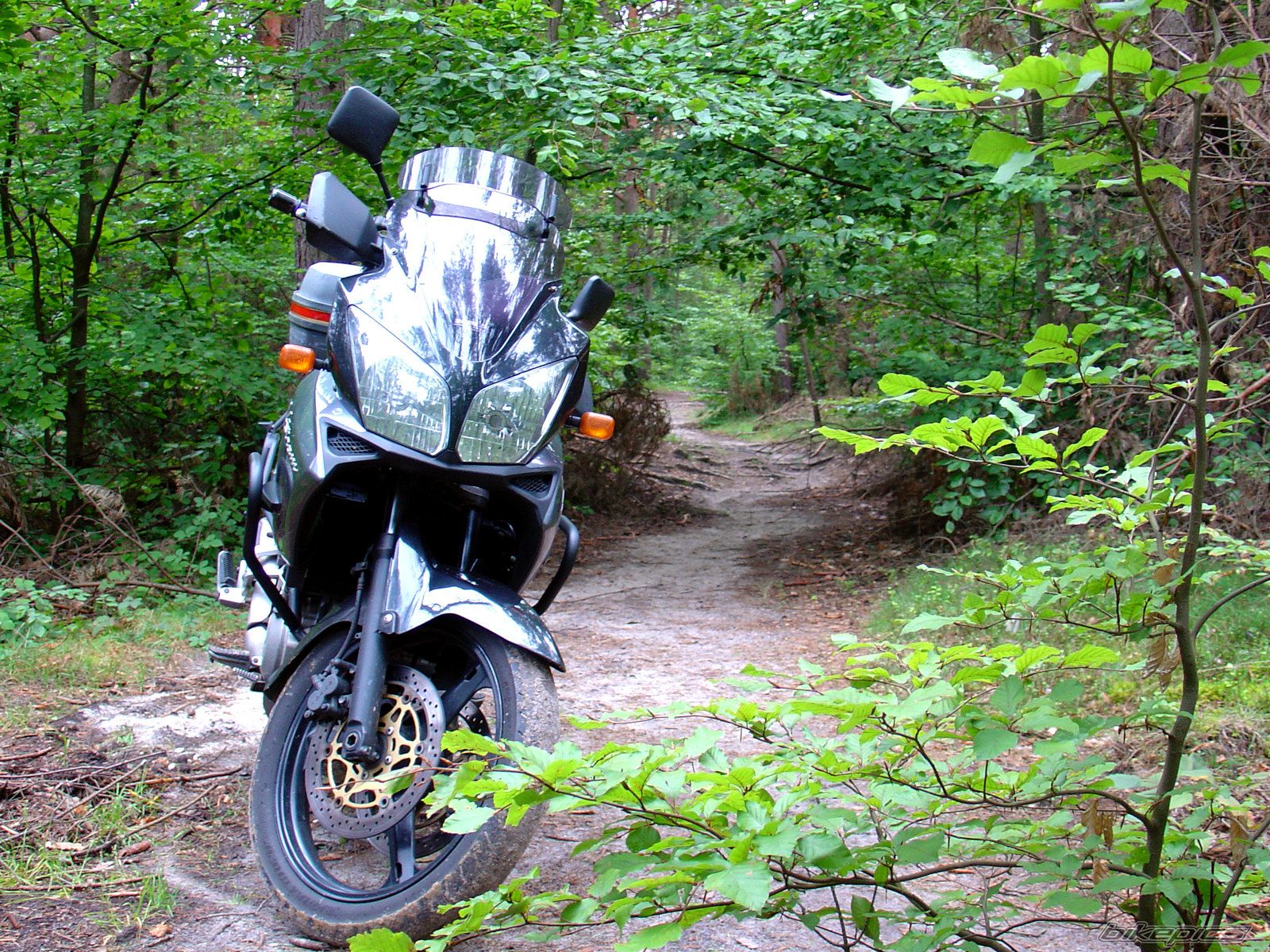 Bike Photo 2160396