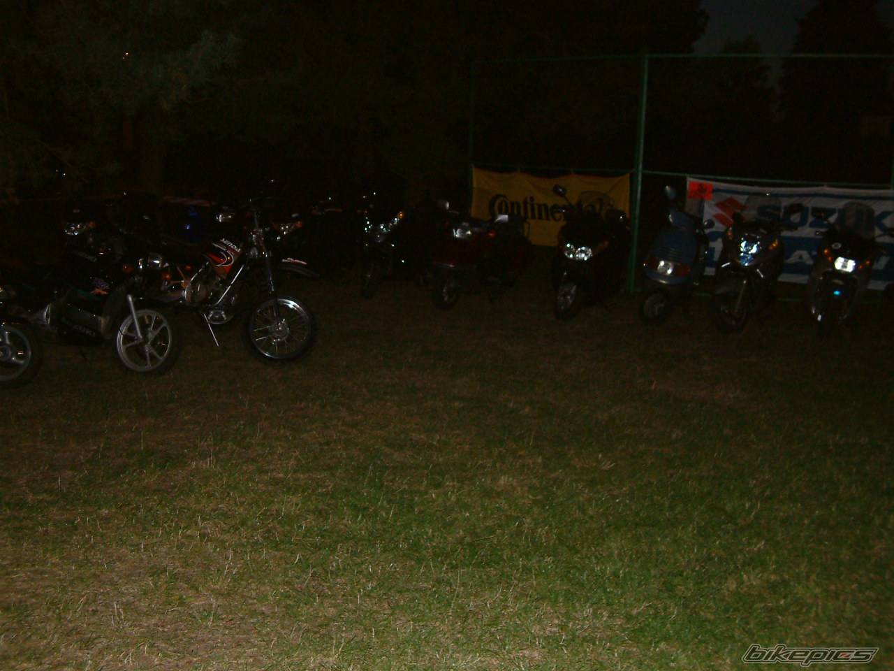Photo 216045