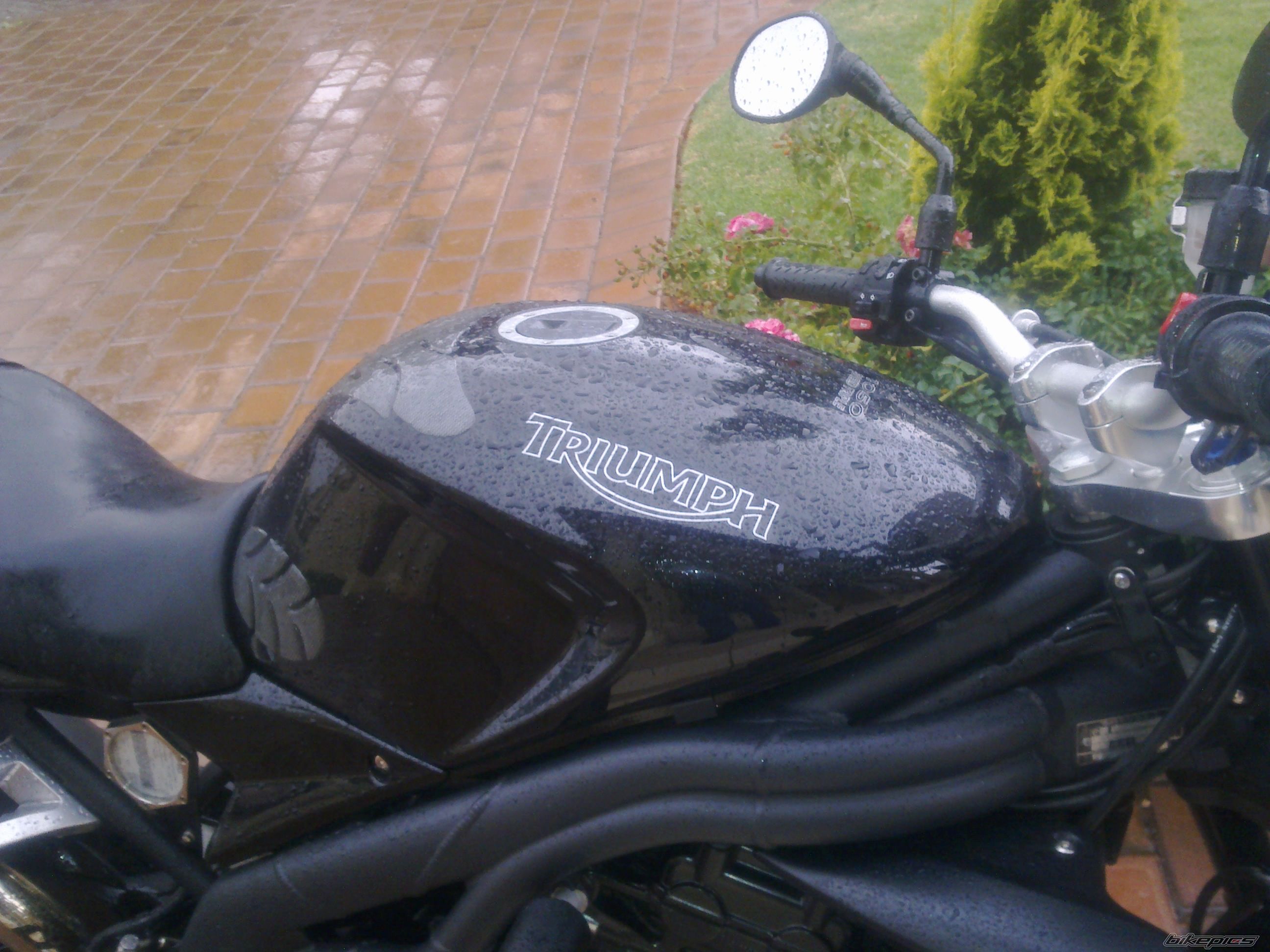 Photo 2160533