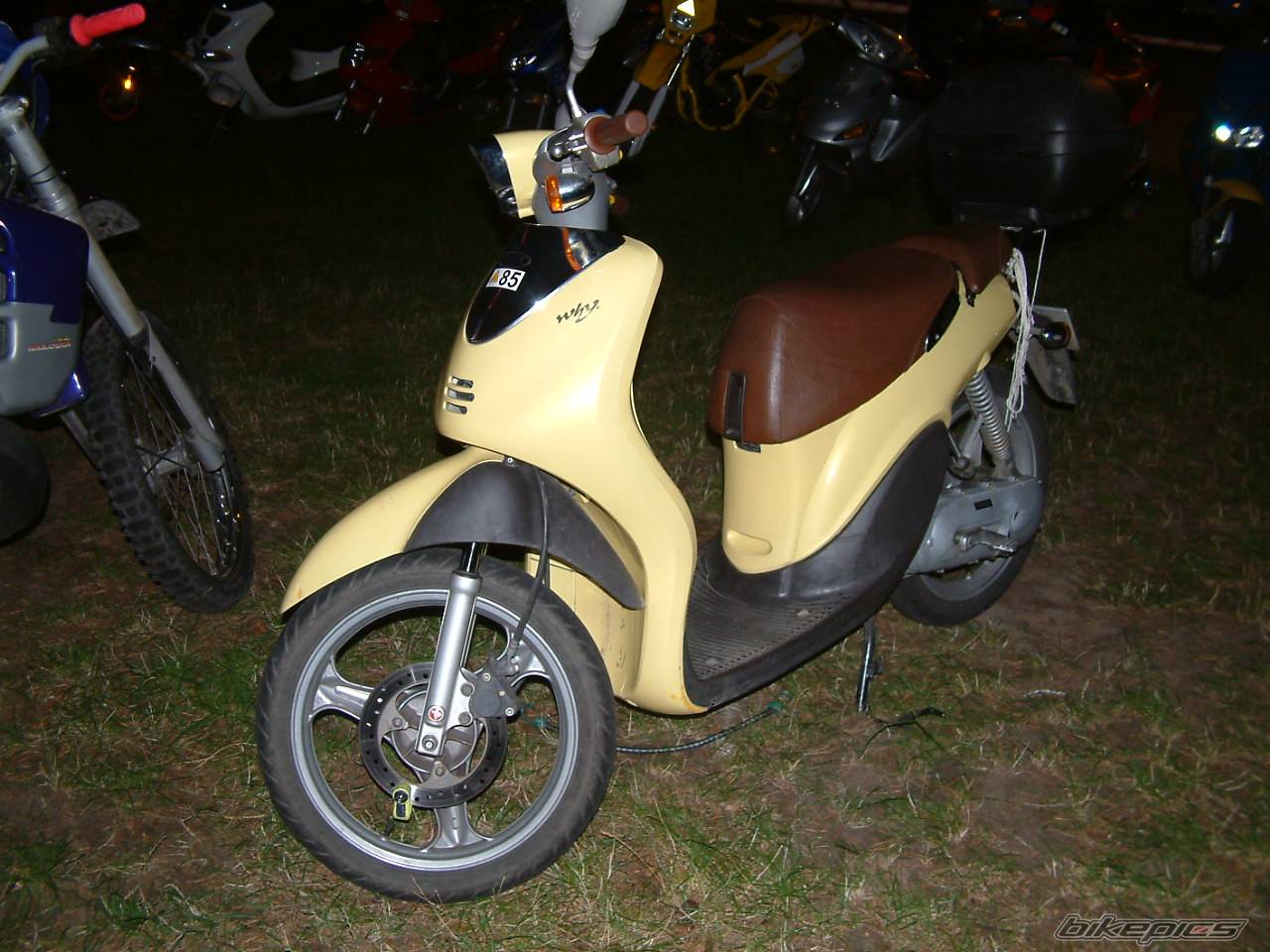 Photo 216056