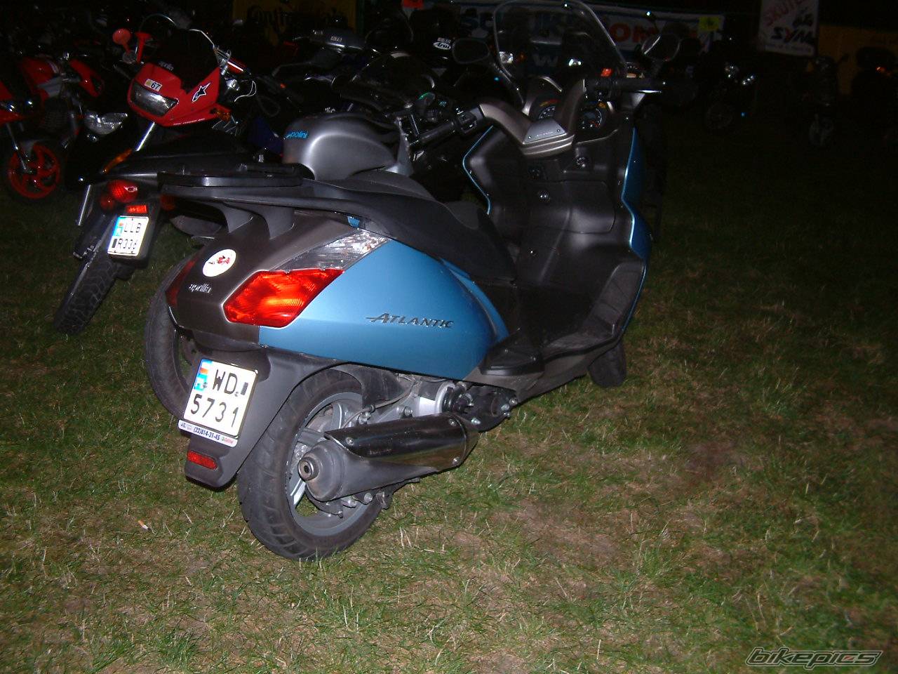 Photo 216065