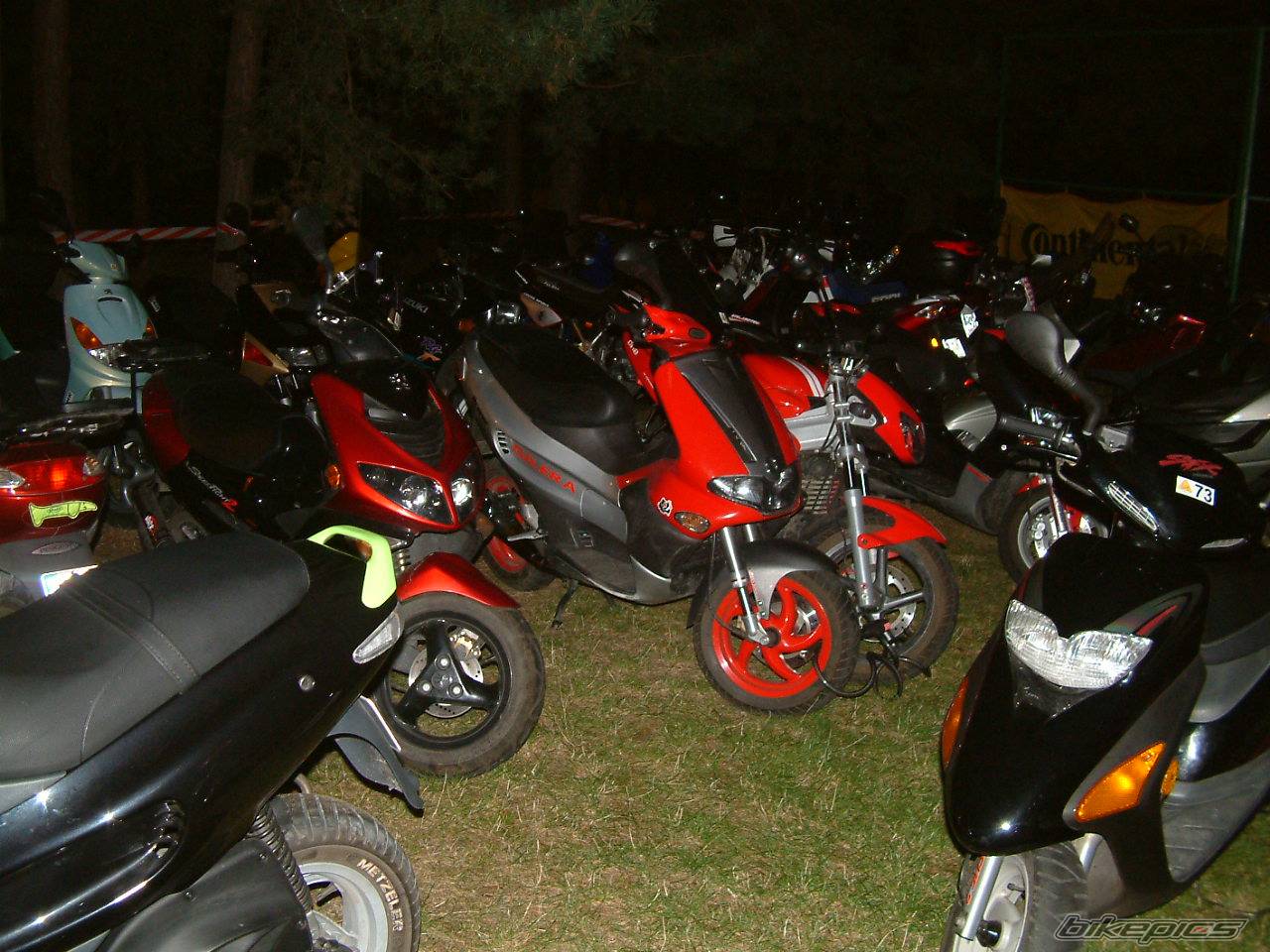 Photo 216075