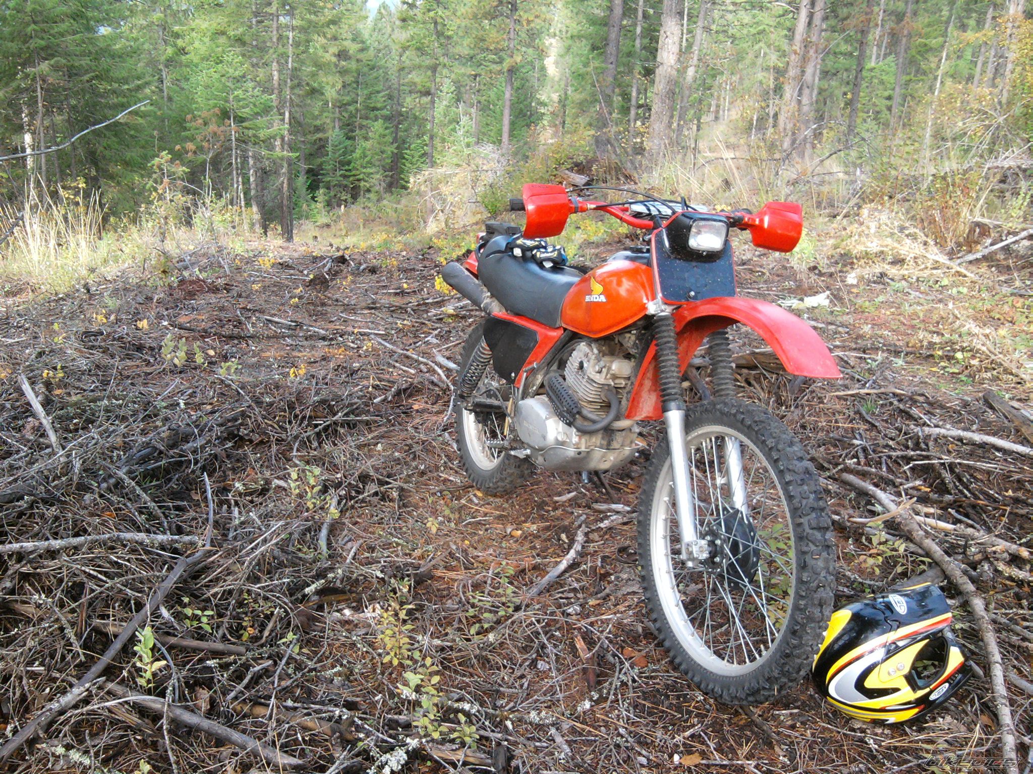 Bike Photo 2161009