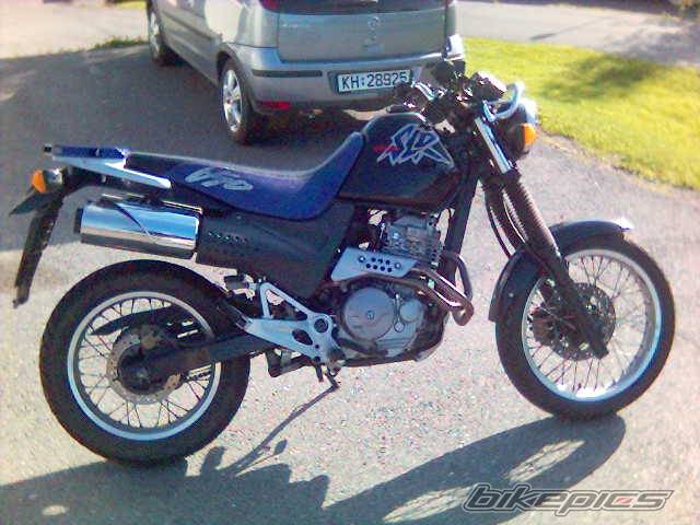 Photo 216126