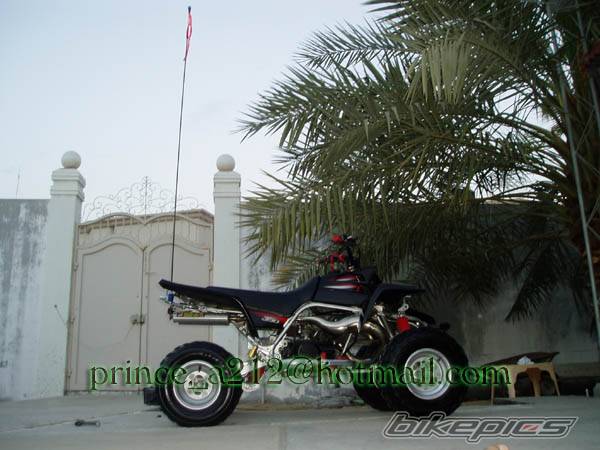 Photo 216166