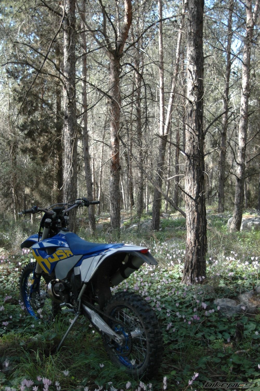 Photo 2161887