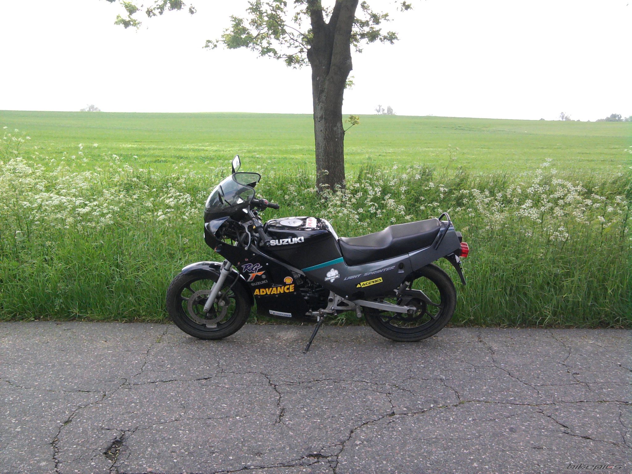 Photo 2161912
