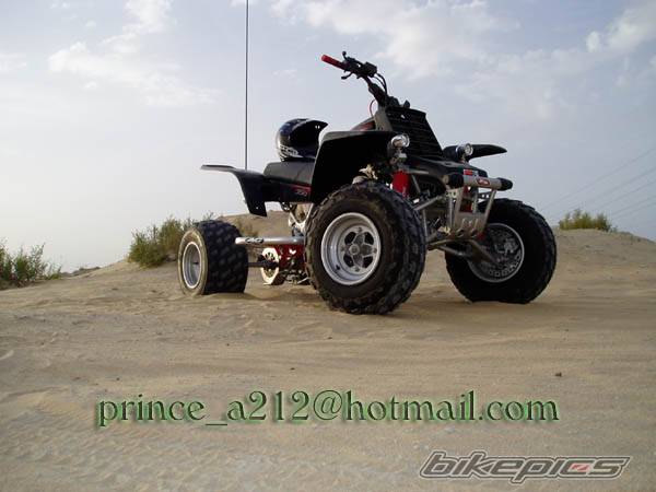 Photo 216193