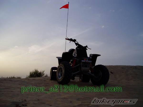 Photo 216196