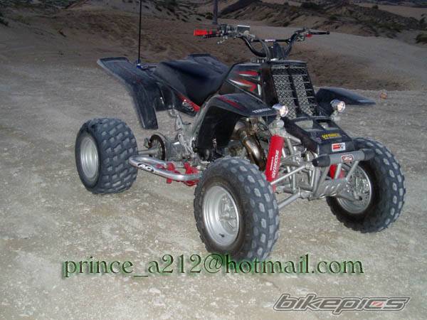 Photo 216198