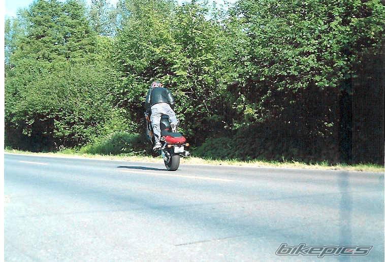 Photo 21620