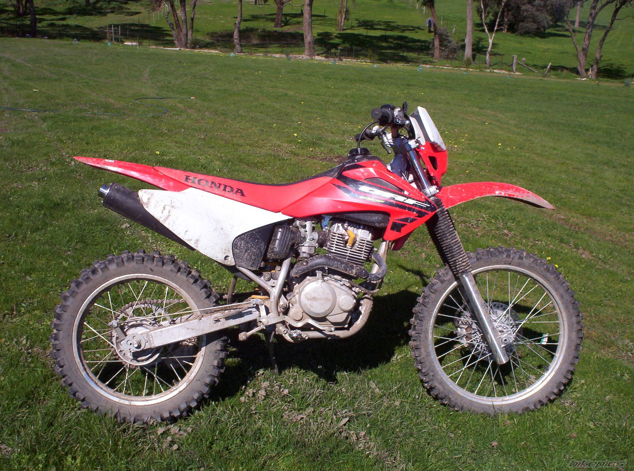 Bike Photo 216201