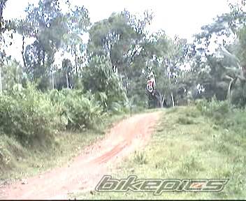 Photo 216213