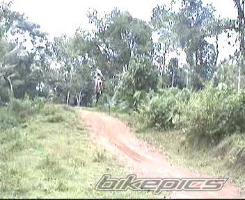 Photo 216216