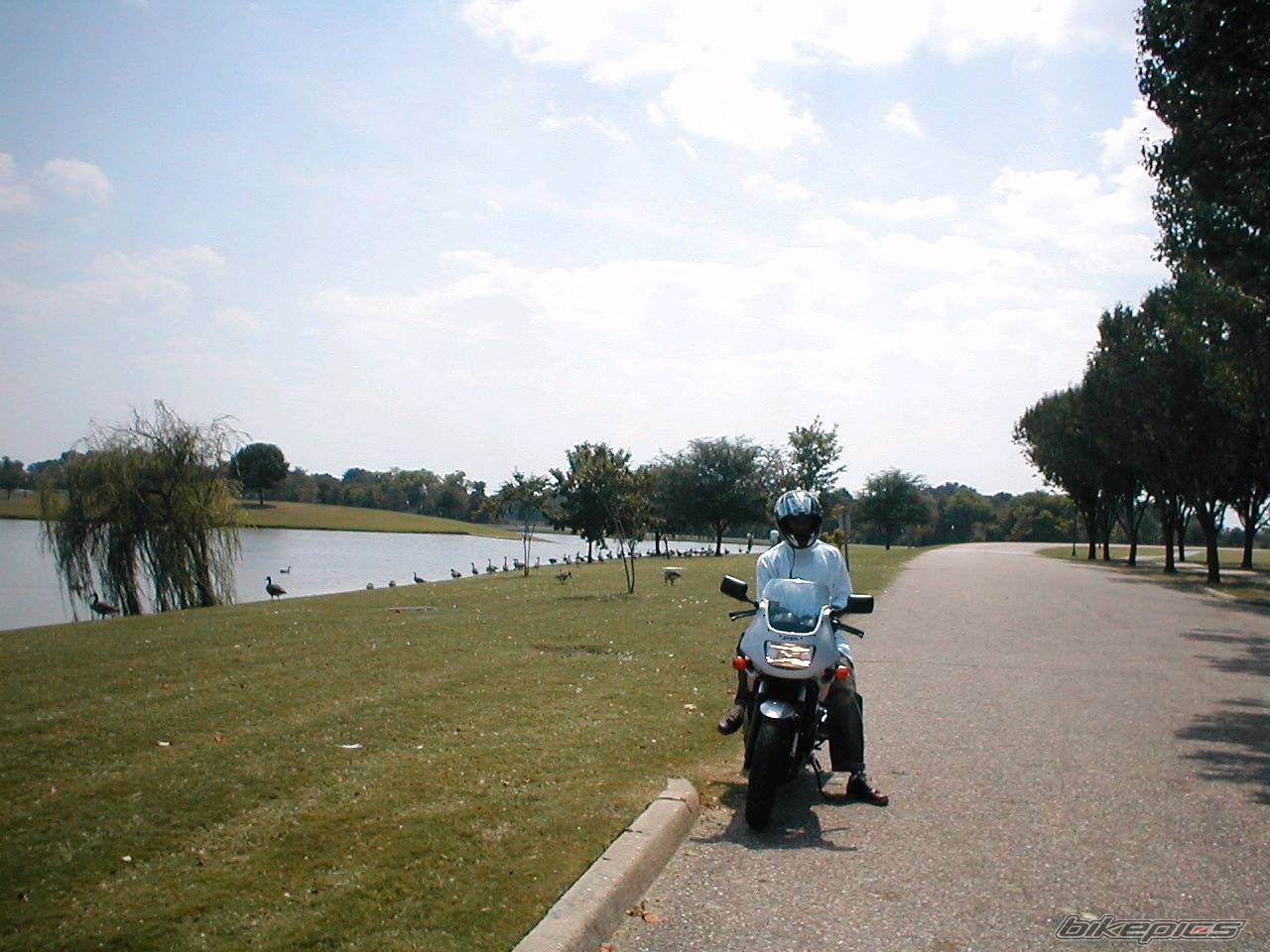 Photo 216218