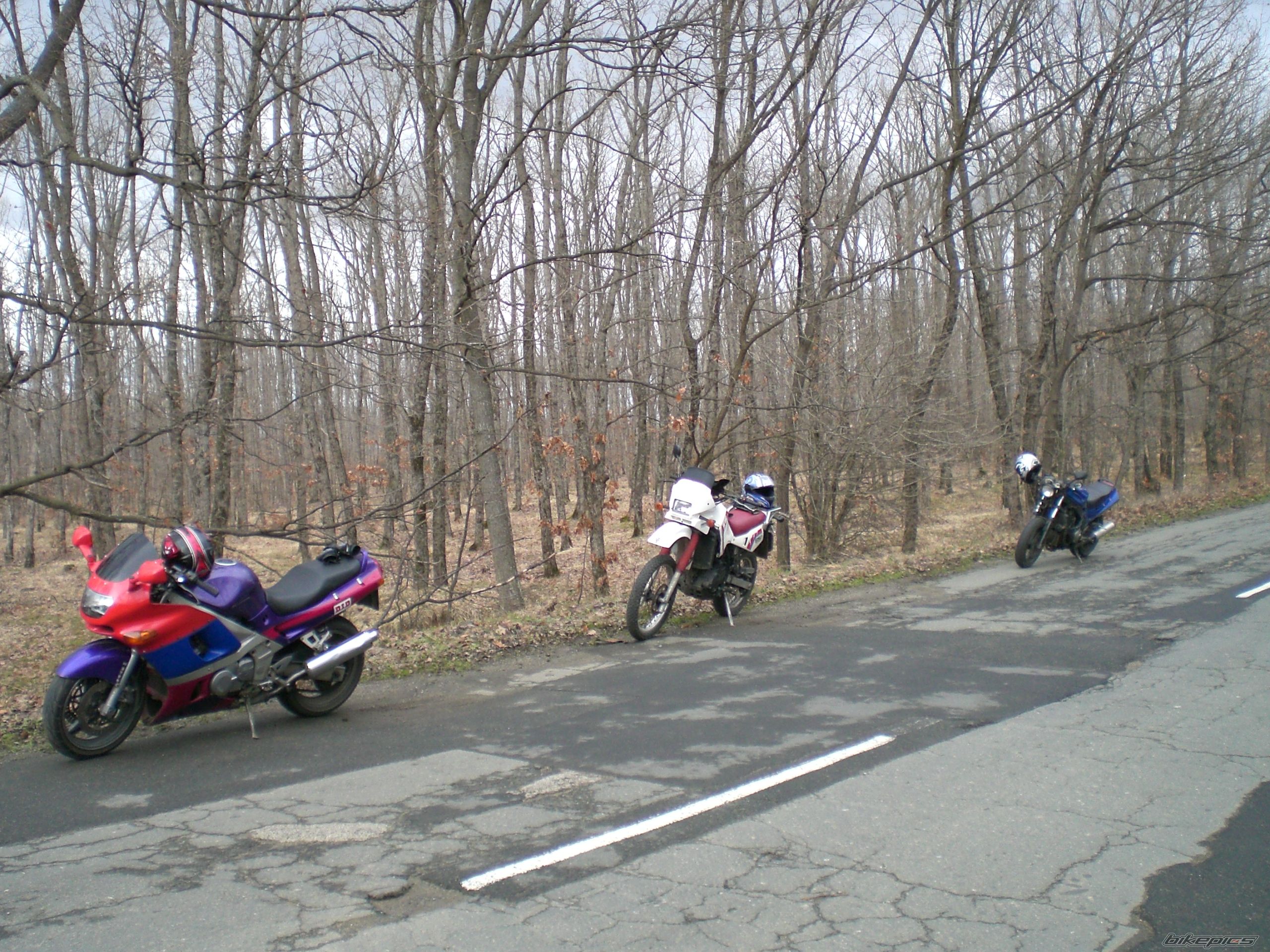 Photo 2162449