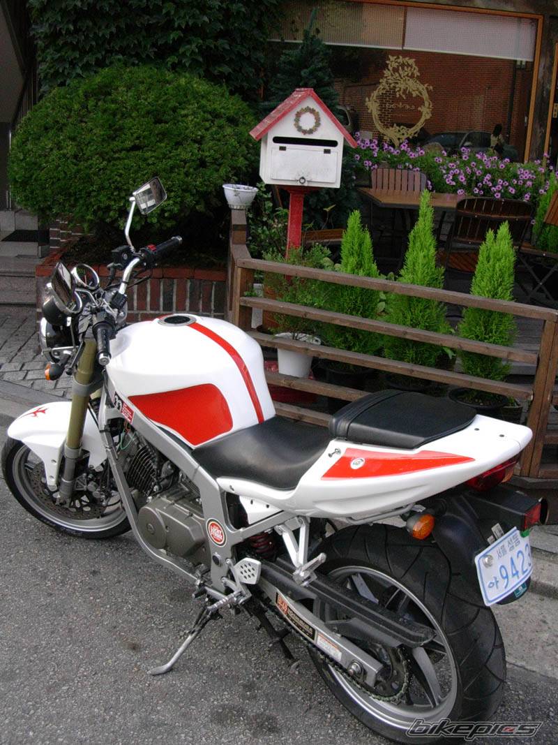 Photo 216252