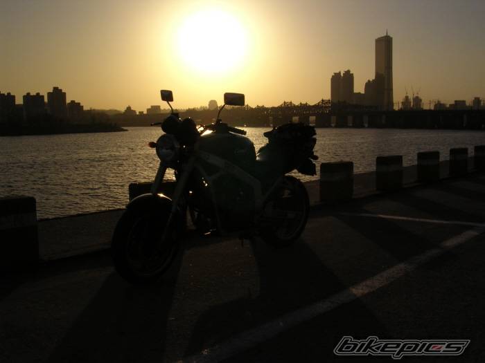 Photo 216254
