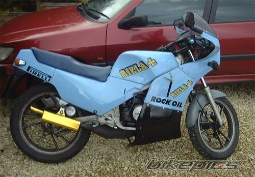 Photo 216258