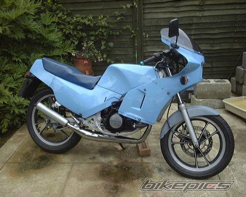 Photo 216259