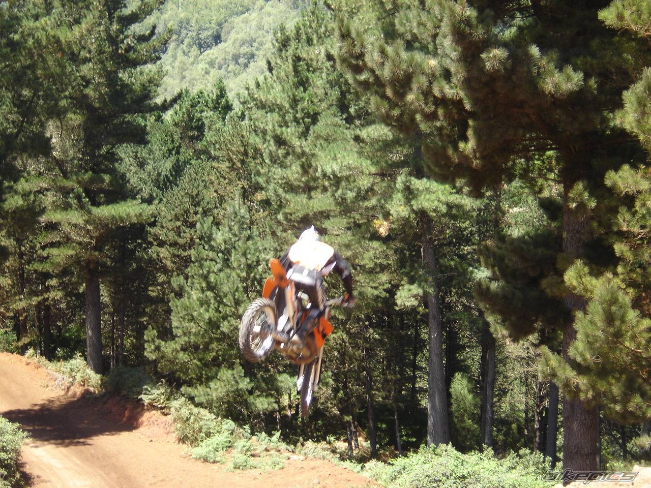 Bike Photo 216260