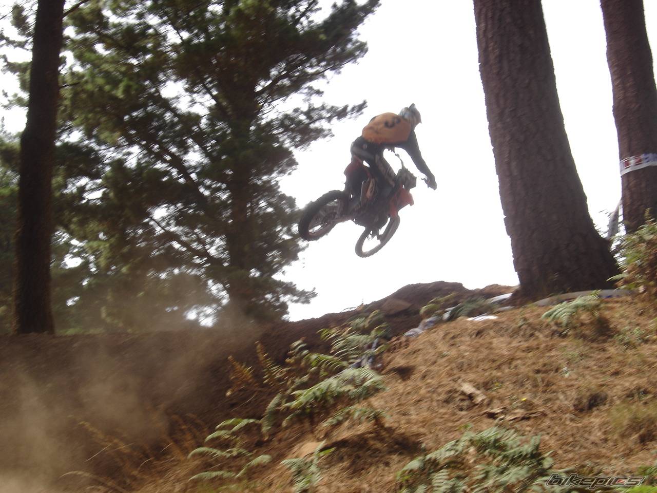 Bike Photo 216270