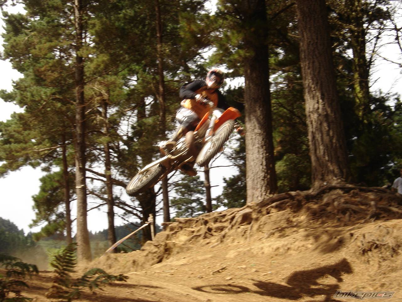 Bike Photo 216276