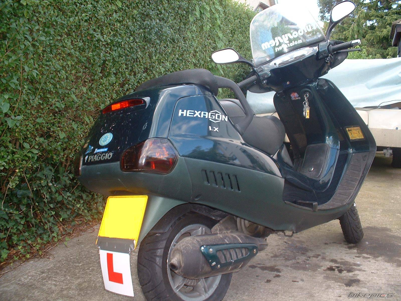 Photo 216283