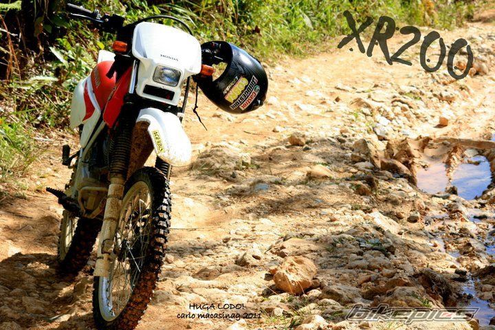 Bike Photo 2163113