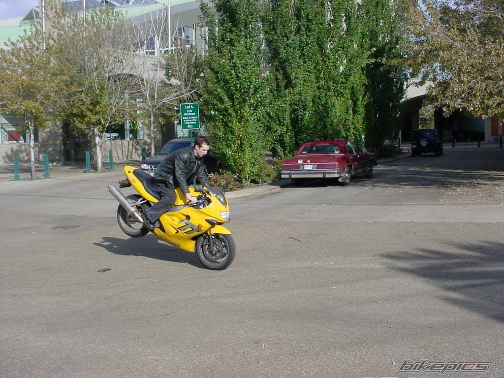 Photo 216332