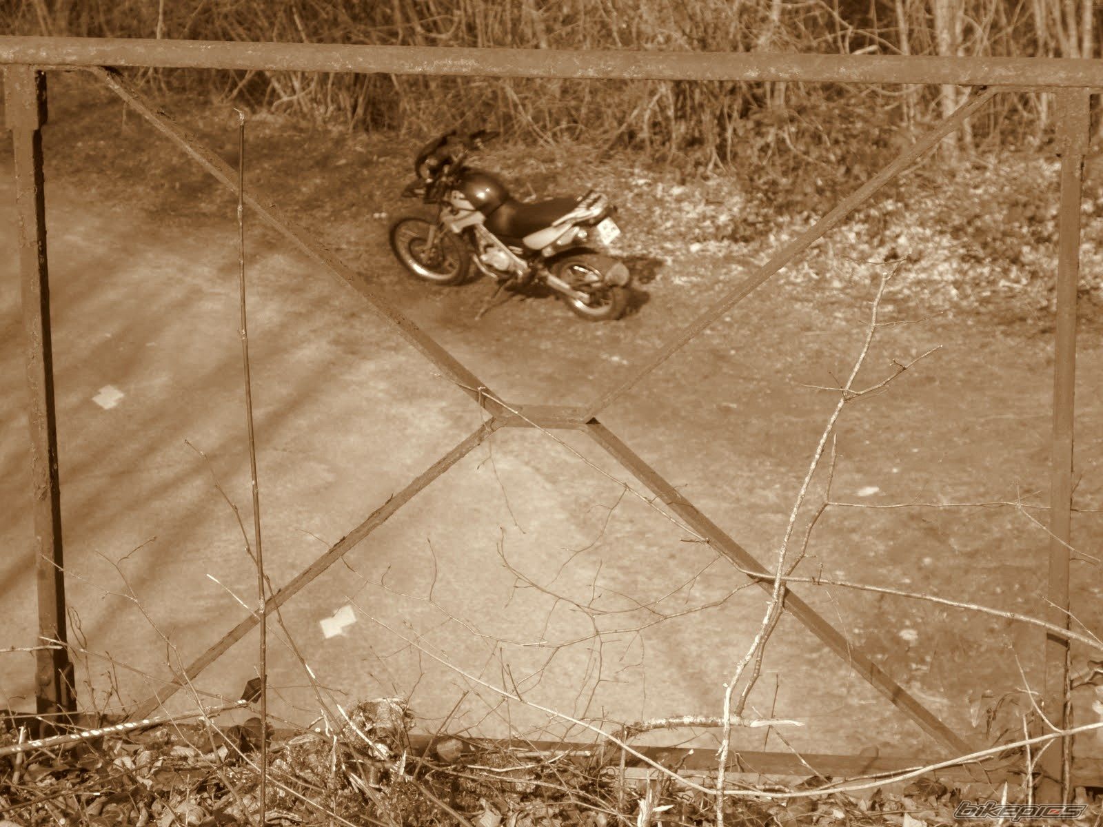 Bike Photo 2163728