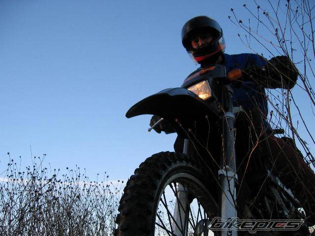 Photo 216398