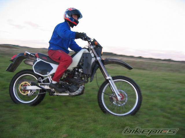 Photo 216400