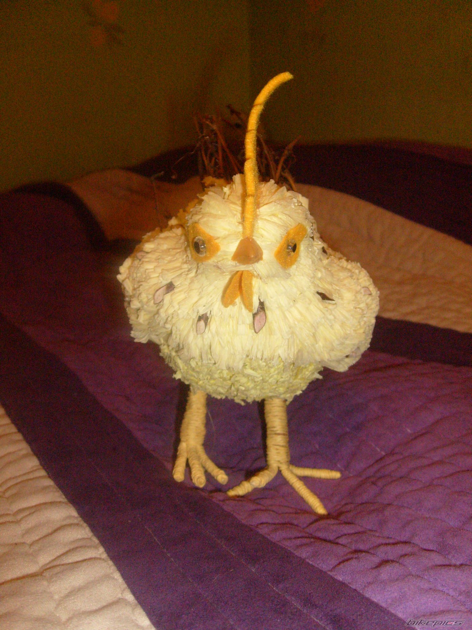 Photo 2164181