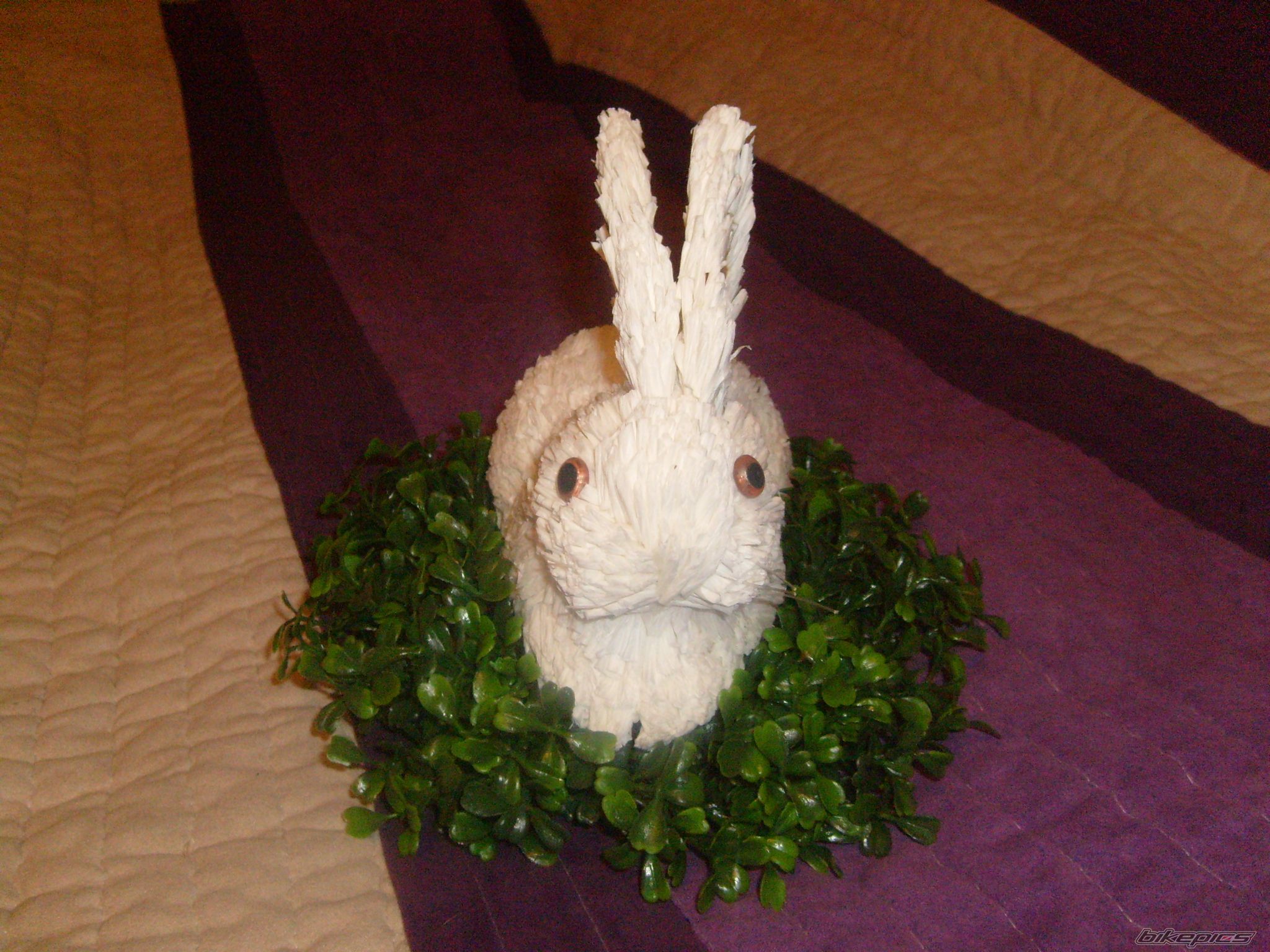 Photo 2164190