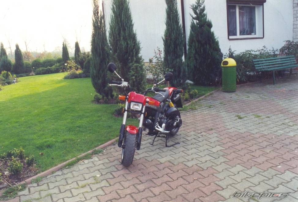 Photo 216421