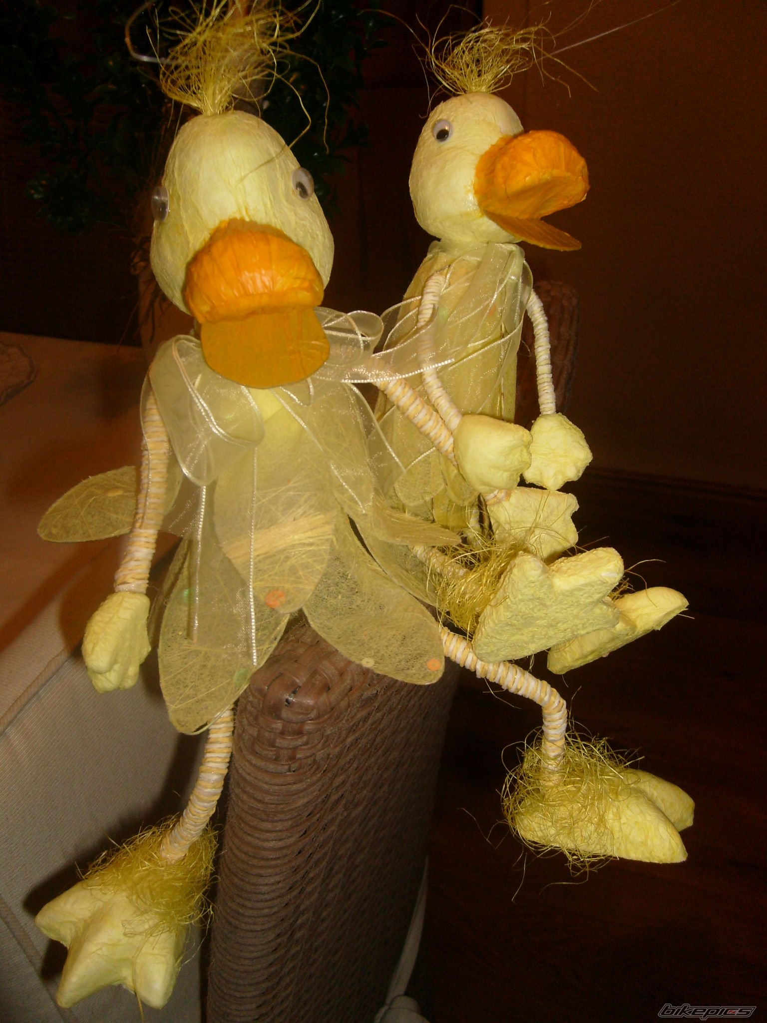 Photo 2164236
