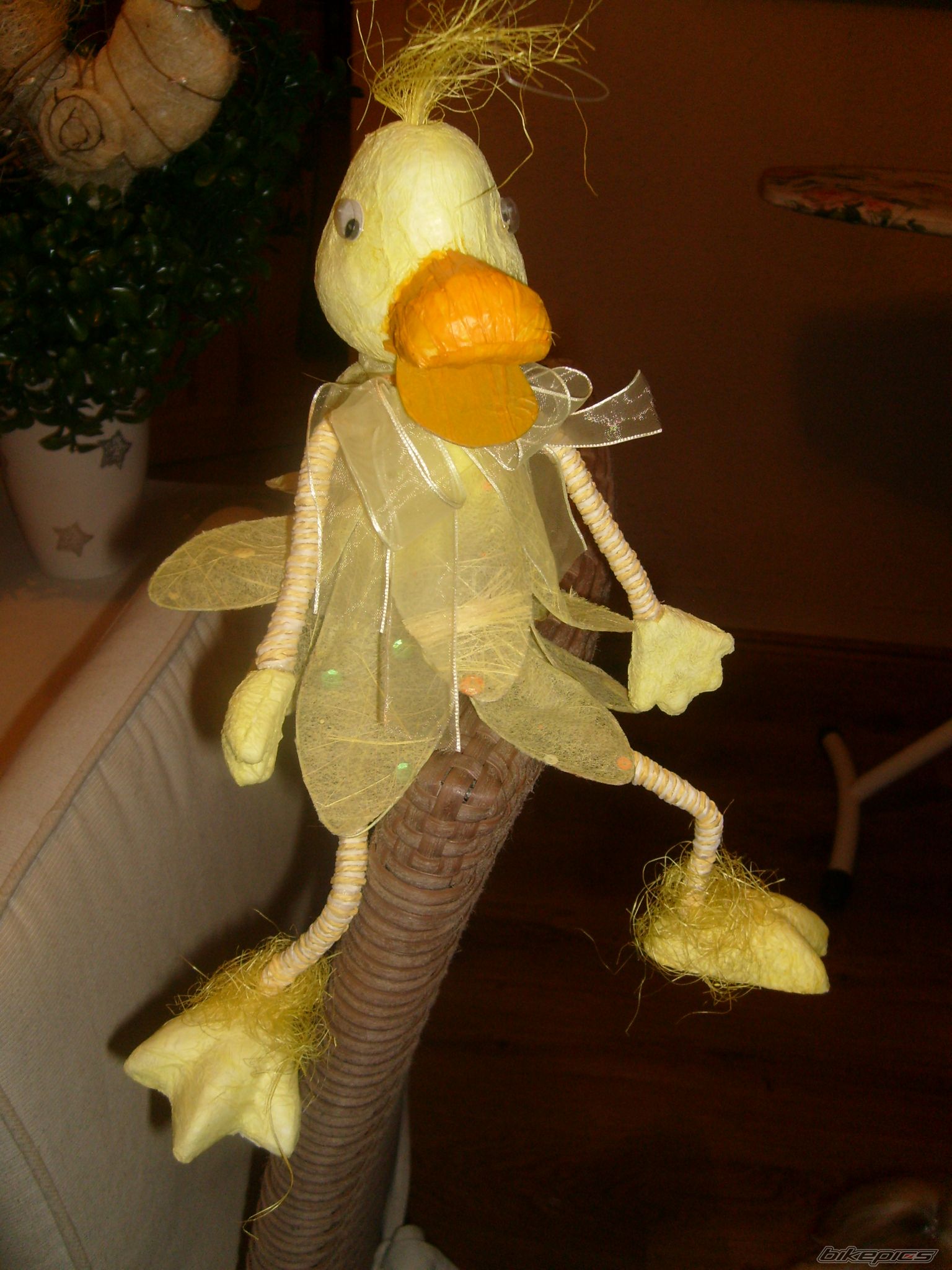 Photo 2164242