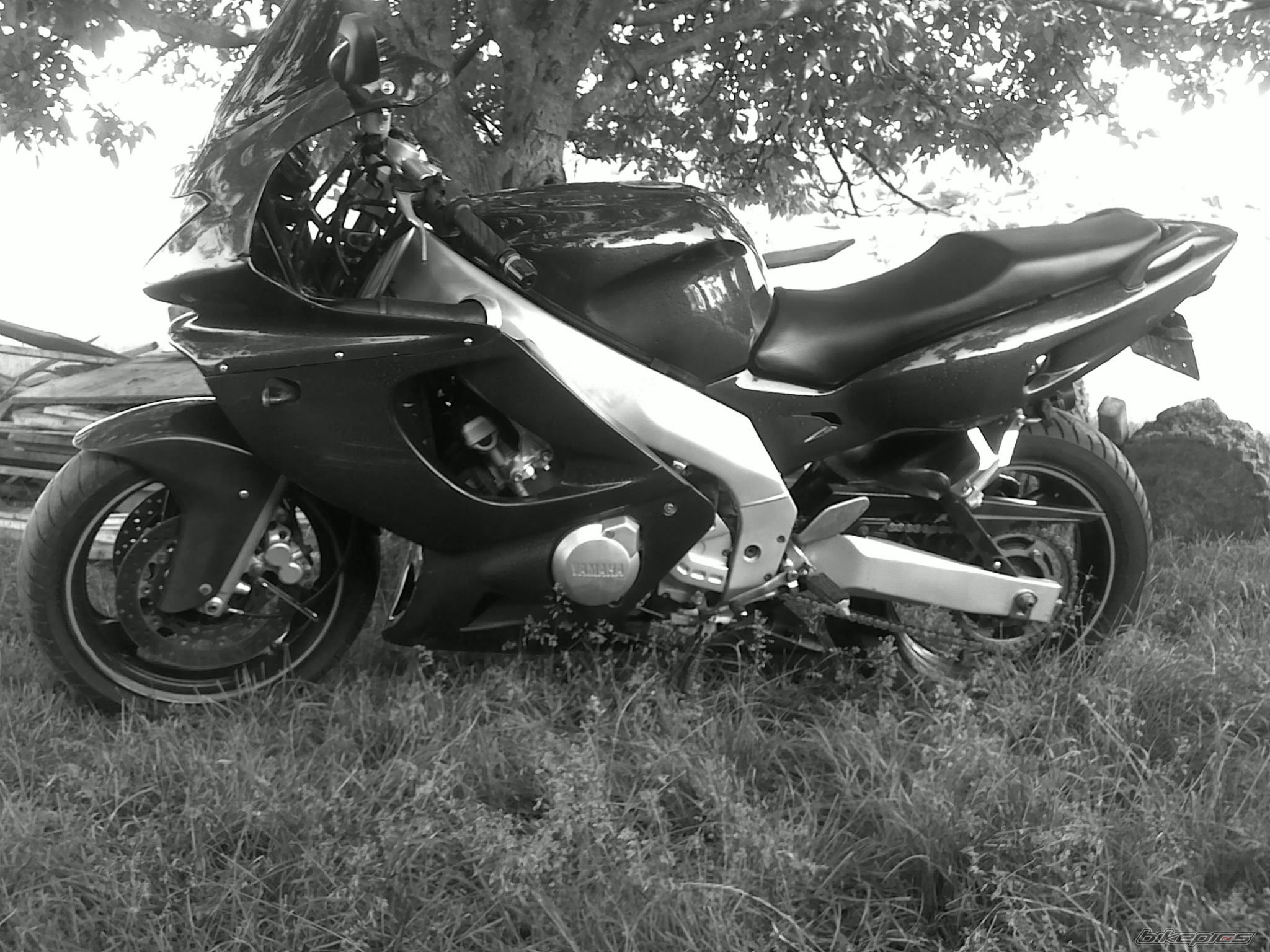 Photo 2164399